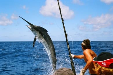 Fishing Tours & Charters