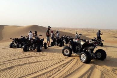 Bike Tours & Rentals