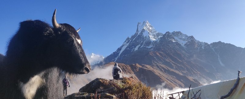 Top 5 Best Treks in Nepal