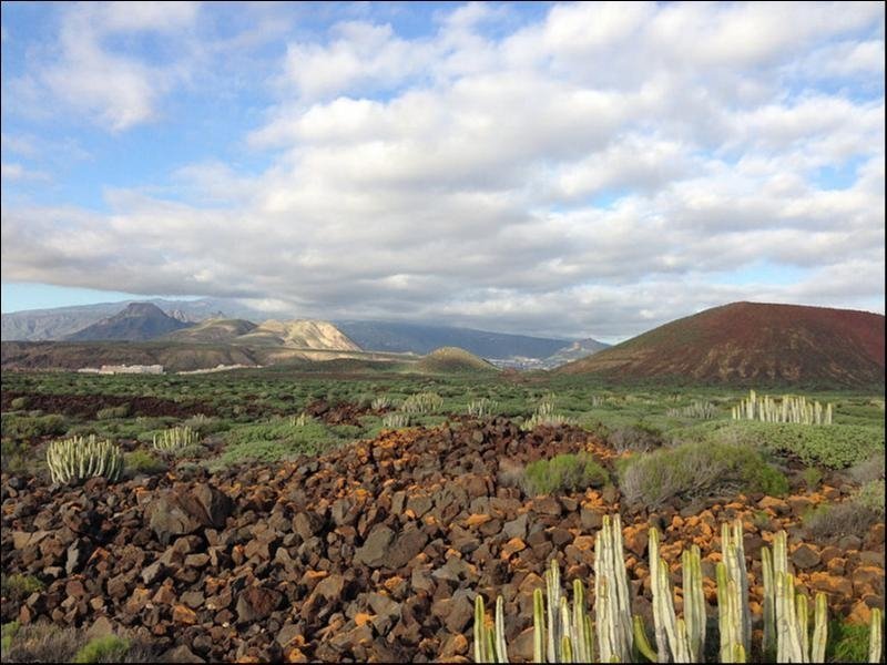 Unusual things to do in Tenerife on holiday