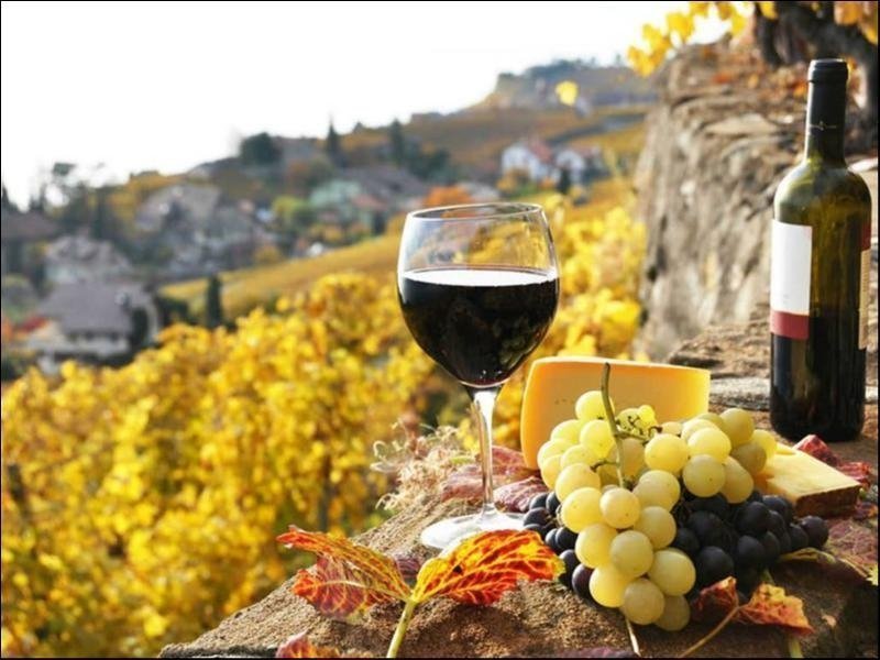 What to Look For taking Wine Tours in Tenerife