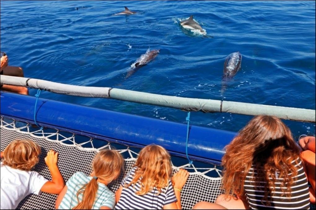 10 Unusual Things to do in Tenerife with Kids