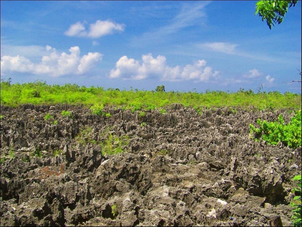 Can You Be Happy in Hell? Yes, If It Is Hell Grand Cayman!