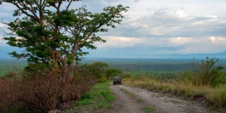 8-Days Uganda Safari Including Gorilla & Chimp Trekking