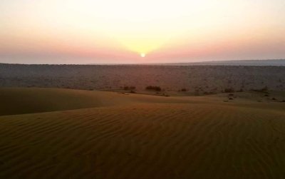Desert Rose Jaisalmer : Dinner on dunes experience