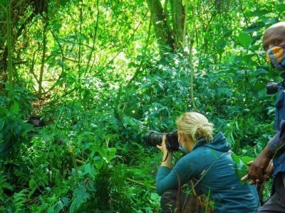 3-Day  Gorilla &Golden Monkeys Experience