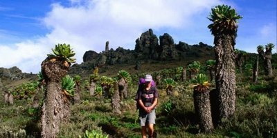 3 DAYS MOUNTAIN ELGON TREKK