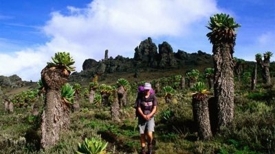 3 DAYS MOUNTAIN ELGON TREKK