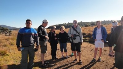 12 day private journey with Accommodation,breakfast and transportation