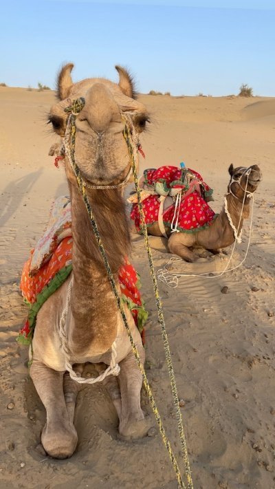 Cultural Show & Evening Entertainment in the Luxury Resort