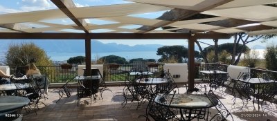 Tour Pompeii and Vesuvius winery experence from Naples