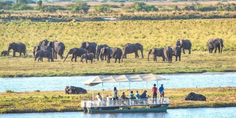 3 Days 2 Nights Chobe Camping Trip from Victoria Falls