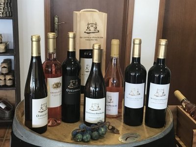 Half day wine tour from Albufeira