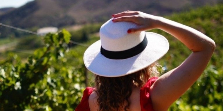 Half day wine tour from Albufeira