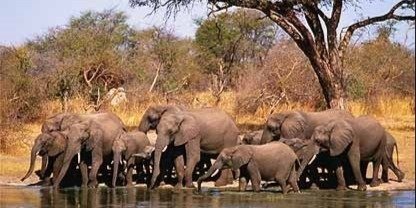 VICTORIA FALLS AND CHOBE