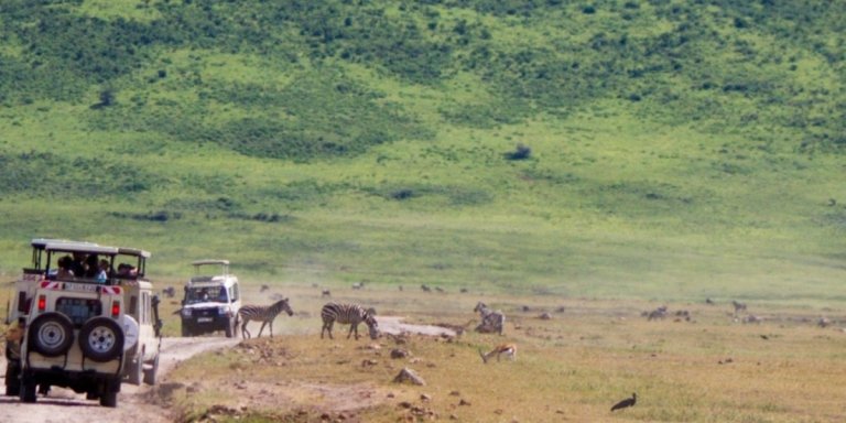9 Days Adventure in Serengeti and Ngorongoro