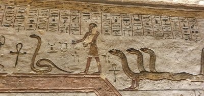 Enjoy a West Bank day tour