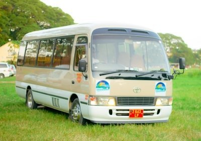 Transfer from zanzibar airport to Paje/Bwejuu/Michamvi