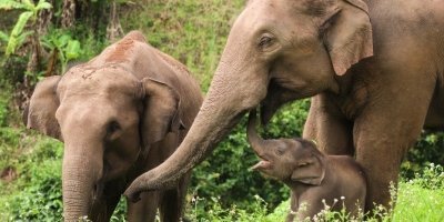 Multi-Day Tours & Cruises