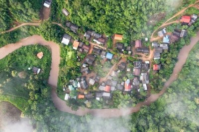 Visit and Help Elephants