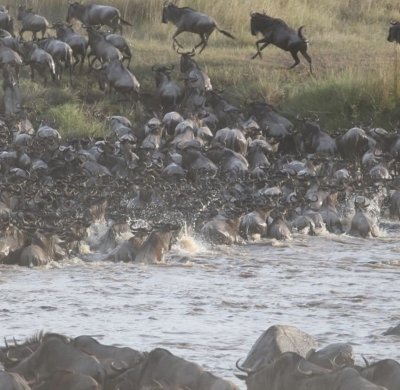 10 DAYS TANZANIA SAFARI & CULTURAL ACTIVITIES