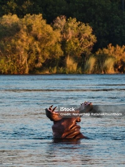 4-Day Kruger National Park