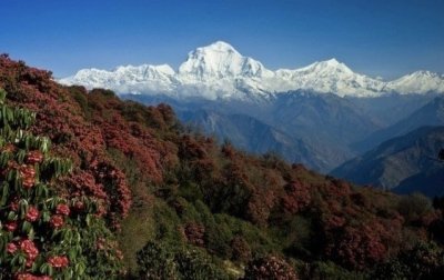 Australian Base Camp Trek