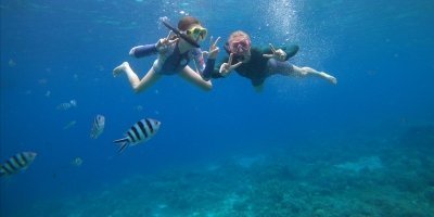 Boat Trips & Charters