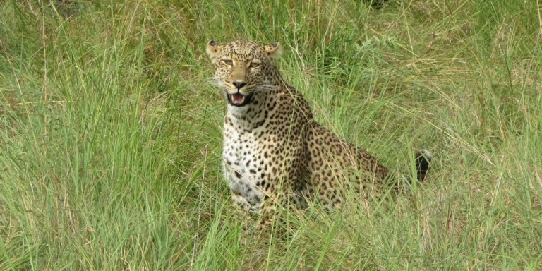 06 DAYS GREAT KENYA BUDGET SAFARI SHARING