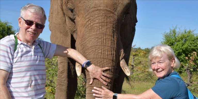 Elephant Encounter at Victoria Falls National Park