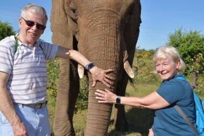 Elephant Encounter at Victoria Falls National Park