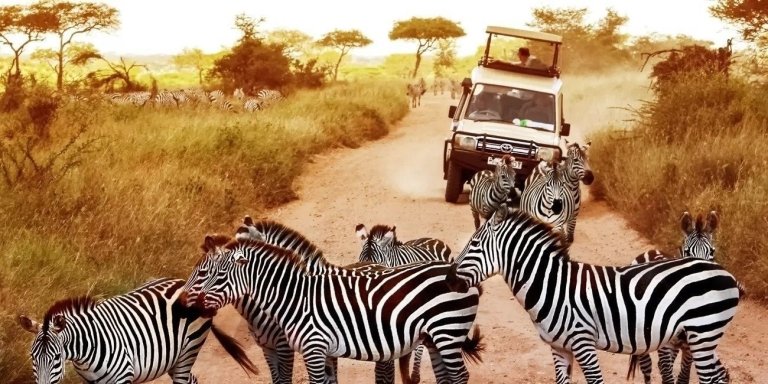 5 DAYS TANZANIA LUXURY SAFARI, HOT SPRING & COFFEE TOUR