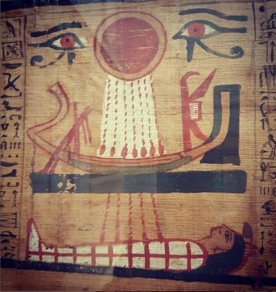 Cairo full day tour visiting Egyptian museum citadel and Coptic Cairo