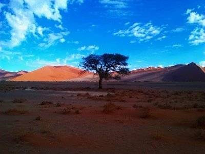 Wildlife Adventure Sossosvlei Tour