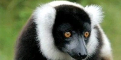 Multi-Day Tours & Cruises