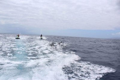 Jet Ski Tenerife - 2 Hours Trip Jet Ski Tenerife - 2 Hours Trip