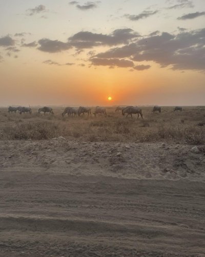 Amboseli Overnight Safari With Masai Village Visit