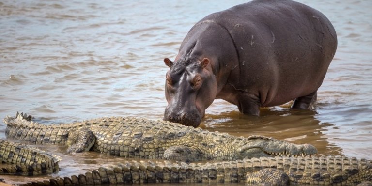 10-Day Kruger-Victoria Falls-Chobe-Okavango Delta Tour