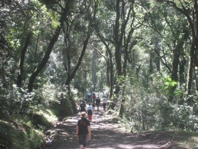 South Omo Valey Tribes and Bale Mountain National Park