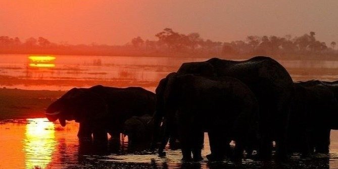 7-Day Cape Town-Victoria Falls-Chobe NP Safari Adventure