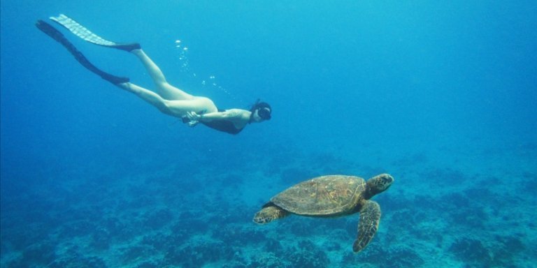 Easter island: Snorqueling tour on coral reefs