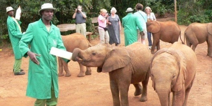 Nairobi National Park, Elephant Orphanage & Giraffe Center Tour