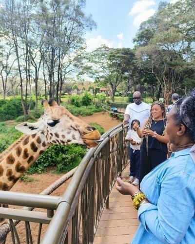 Nairobi National Park, Elephant Orphanage & Giraffe Center Tour