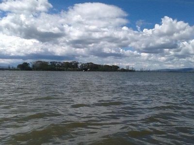 Day Tour to Hell's Gate National Park and Lake Naivasha Boat Ride