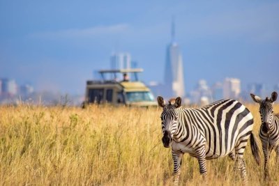 Nairobi National Park Sunrise Or Sunset Game Drive Tour