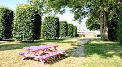 Ghent Walking Tour with (light) Meal