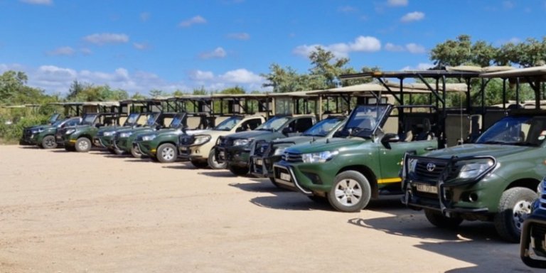 Kruger National Park Safari Camping experience