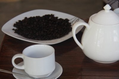 Half Day Boat Tour and Coffee Tour - crop to cup