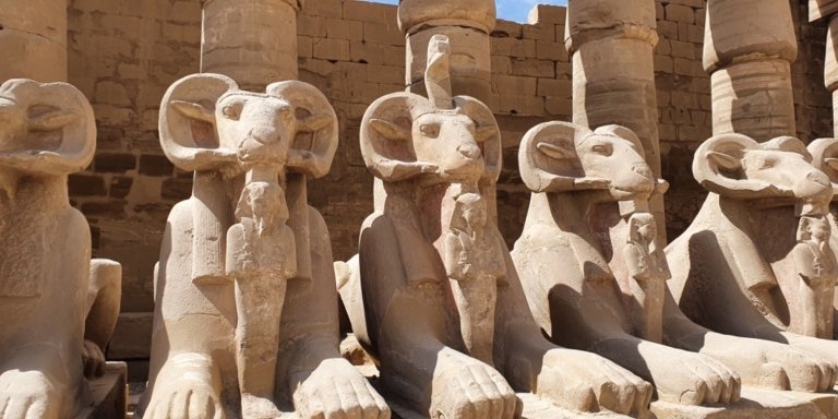 Enjoy a east bank day tour in Luxor