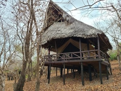 5Days Explore Ruaha and Mikumi